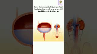 Download lagu Anyang-anyangan terjadi karena kandung kemih overaktif #anyanganayangan mp3