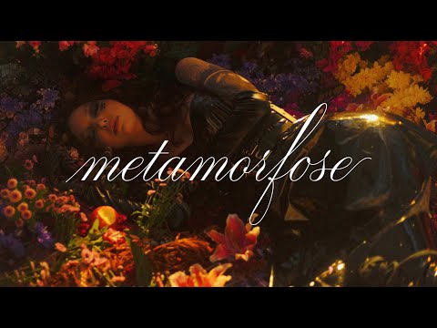 Video thumbnail for metamorfose (interlude)