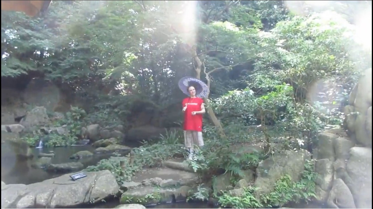 On tour in Japan by Billie