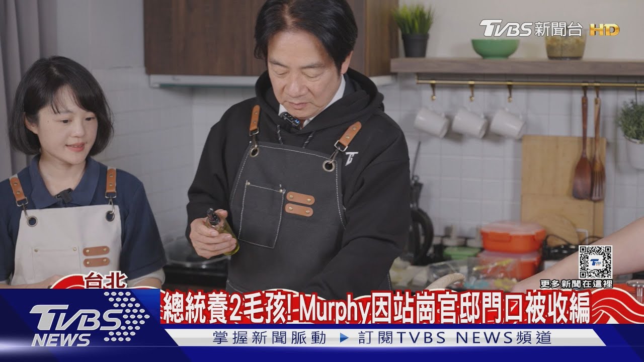 毛孩除夕也加菜! 總統挑戰「黃金旺旺元寶」