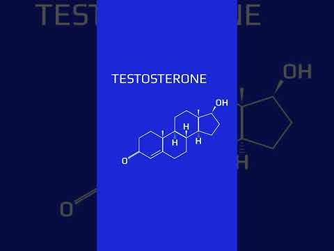 How Does 𝗧𝗲𝘀𝘁𝗶𝗰𝘂𝗹𝗮𝗿 𝗦𝗶𝘇𝗲 𝗔𝗳𝗳𝗲𝗰𝘁 𝗧𝗲𝘀𝘁𝗼𝘀𝘁𝗲𝗿𝗼𝗻𝗲 𝗟𝗲𝘃𝗲𝗹𝘀?