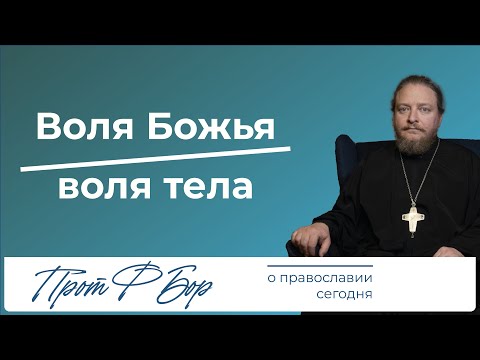 Паралич воли и воля Божья. Священник Федор Бородин