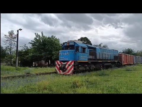 Tren 5004/9735 por Atahona. Tucumán 🚂💪