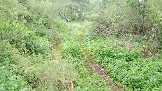 🙏1Acre 7 gunte agriculture farm land for sale malavalli near 🙏