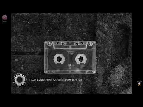 Pig&Dan & Gregor Tresher - Granular (Original Mix) [Truesoul]