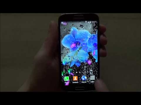 Oriental Live Wallpaper Video