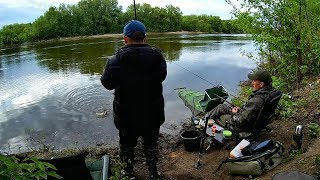 Ловля крупного карася на фидер с берегами