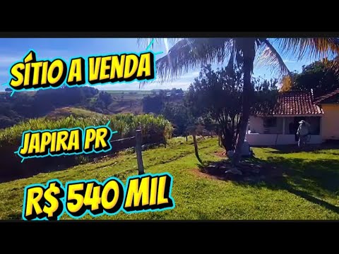 Sítio a venda em Japira PR casa, 2 estufas rica água R$ 540 mil  reais fone 43998273538