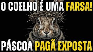 Por Que Eles Inseriram um Coelho na História de Jesus? (A Verdade Bizarra)