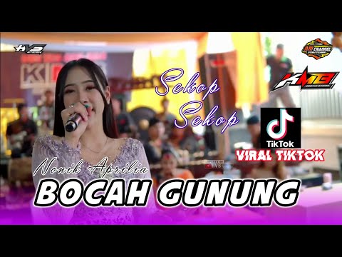 Bocah Gunung (Sekop Sekop) - Nonik Aprilia || KMB GEDRUG - MARGO MULYO AUDIO - HVS SRAGEN