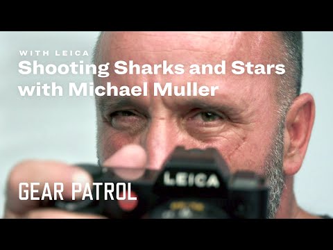 Photographer Michael Muller Shoots Sharks and People in the Same Light