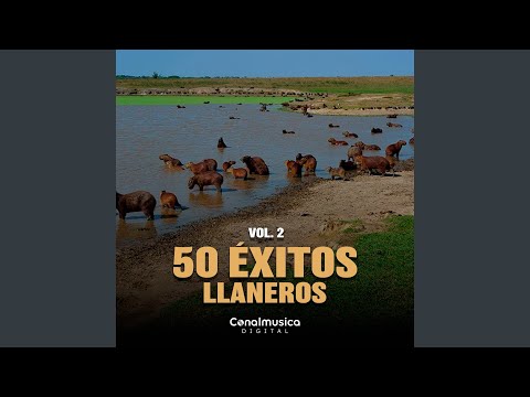 Coplero De Versos Buenos