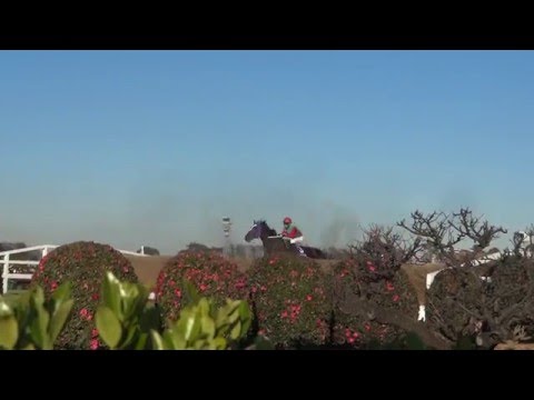 競馬 J・G1 2015年 第138回 中山大障害 大いけ垣障害 馬場内視点 現地撮影