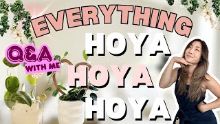 Everything Hoyas! My Entire Greenhouse Collection + Q&A | Houseplant Care Routine | Plant Chores