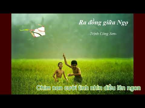 RA ĐỒNG GIỮA NGỌ