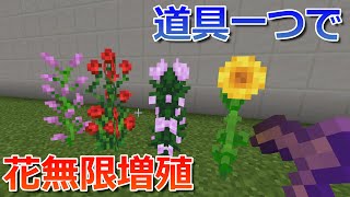 【マイクラ統合版】超簡単！道具一つで花を無限増殖させる方法！