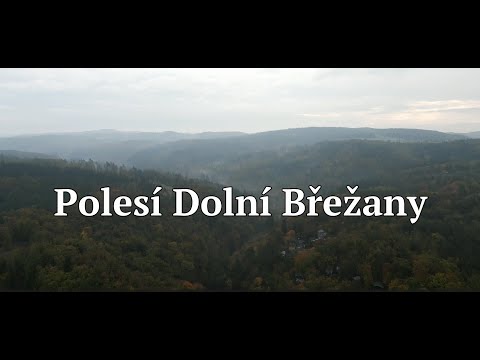 Polesí Dolní Břežany