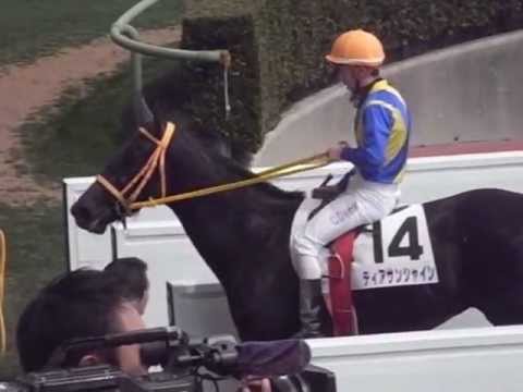 Cristian, after 3R. 23/03/2013 Nakayama racecourse.