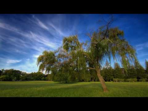 [HD] Ferry Tale & Static Blue - L'acrobat (Original Mix)