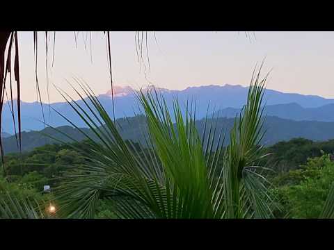 Bohemia Beach, donde la selva encuentra la playa, cerca parque Tayrona, Colombia