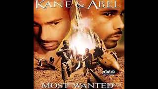 Dj Stevie Elm.....Kane &amp; Abel - Shake It Like A Dog