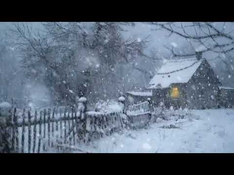 Lonely House on Howling Hill During a Terrible Blizzard┇Blizzard Sounds for Sleeping┇Winter Ambience