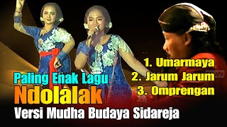 Download lagu Koleksi Lagu Ndolalak Paling Enak 2022 || Bersama Mudha Budaya Dalang Tejo Gubrag Sidareja mp3