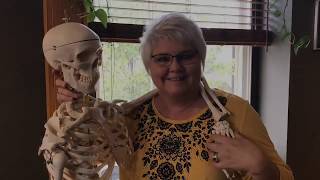 Owl Chiropractic