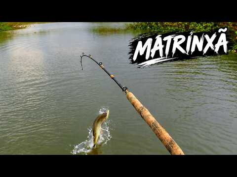 🎣 SÓ DEU MATRINXÃ NA ARTIFICIAL! | LAGO BOM SUCESSO – JATAÍ/GO