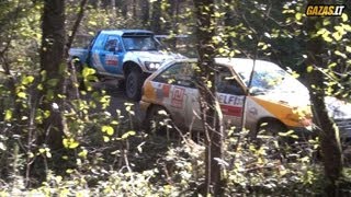 preview picture of video 'Day two of Rally Classic Druskininkai 2013 (SS5, SS8)'