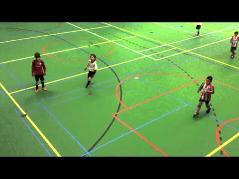 Meerburg F1 - Quick Steps F1