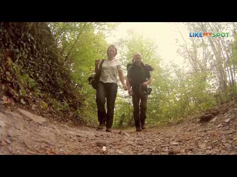 Wandern in Rheinland-Pfalz auf dem Moselsteig (Traben-Trarbach bis Reil) [Mosel-Saar]