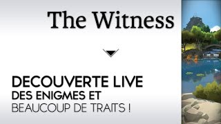 The Witness Gameplay FR : Découverte, des énigmes et beaucoup de traits !