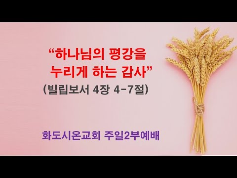 (성령강림 후 23-1, 추수감사주일) 하나님의 평강을 누리게 하는 감사 (영상)