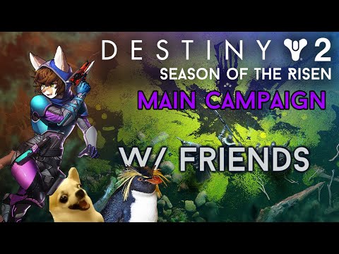 The Ritual - Witch Queen Campaign Pt.8 - Destiny 2 w/Friends