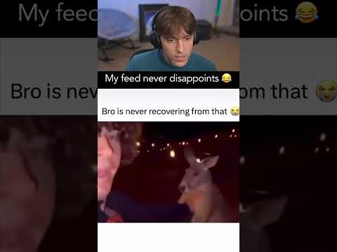 never underestimate the kangaroo