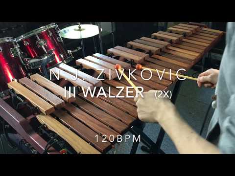 N.J. Zivkovic - III Walzer Xylophone + Piano from Easy Pieces For Xylophone and Marimba