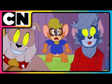 Tom and Jerry 😺🐭| Here Peace Is Overrated 😍| Kids Entertainment 😆| Cat & The Mouse | @cnindia