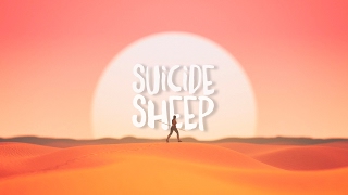 Steve James - Warrior (feat. LIGHTS)