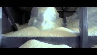 Dead Heat - Bosco (Official Video)