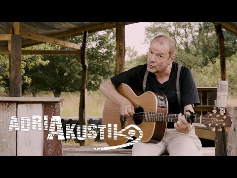 Rüdiger Bierhorst - Nicht alle Macht den Haien