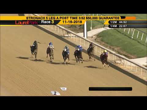 Colonel Sharp: "Sound and happy and running his eyeballs out"