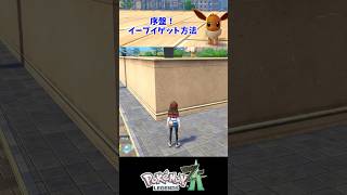 人気ポケモン『イーブイ』出現場所・入手方法【ポケモンZA・攻略動画・任天堂スイッチ】#shorts  #ポケモン #ポケモンza #攻略動画