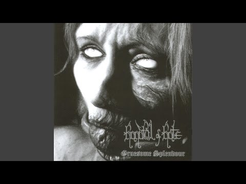 Theory Of Perfection