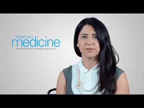 An essential question for itchy pets