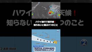 【ハワイ】旅行中に悪天候に遭遇⁉️知らないと困る3つの備え#shorts #ハワイ #ハワイ旅行
