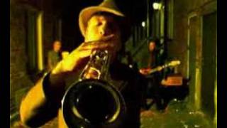 David &amp; the Citizens - Graycoated Morning