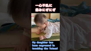 畳みが気になる / curious about Tatami #shorts