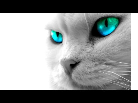 Lane 8 - Nora En Pure - Yotto - Sultan + Shepard - CamelPhat - Klur - Boxer (Omer Gigi Set)