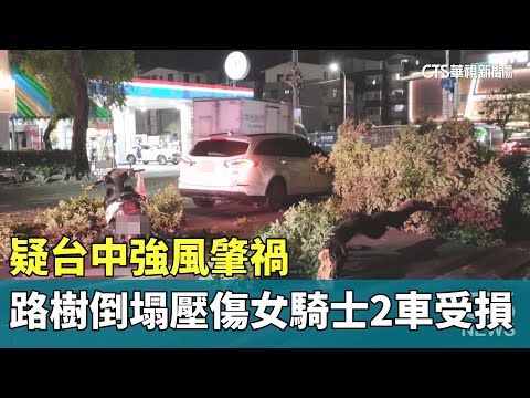 疑強風肇禍　台中路樹倒塌壓傷女騎士2車受損